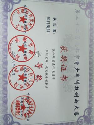 《中學(xué)生自我認(rèn)識現(xiàn)狀調(diào)查》小組研究性課題榮獲成都市一等獎 - 學(xué)生活動 - 思品組 - 雙流中學(xué)實驗學(xué)校歡迎你!