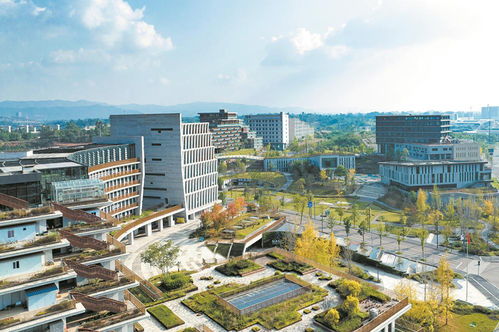 點亮 下線 通航 成都高質量發展按下 快進鍵